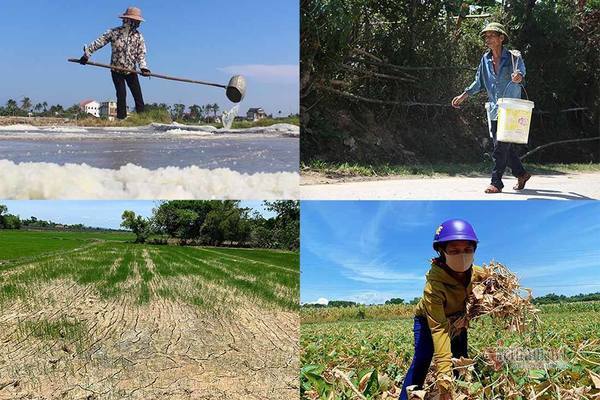 Chảo lửa miền Trung: Nơi hồ hởi ra đồng, nơi cây trồng chết cháy