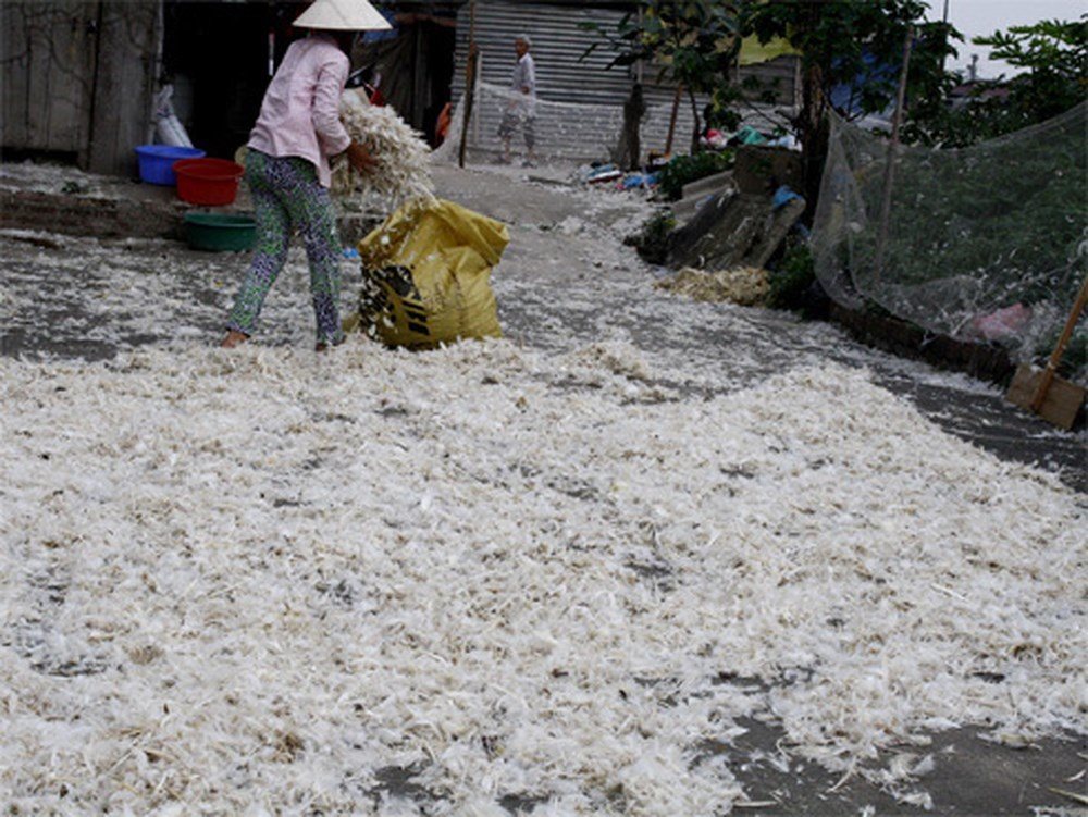 Water quality in Vietnam's rivers varies by region