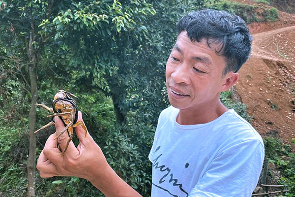 Ở trang trại 10.000m2, Việt Hoàn tự nhận 'là người nghèo nhất'