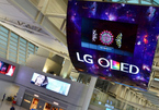 Trung Quốc tham vọng vượt Hàn Quốc trên thị trường OLED trong 5 năm tới