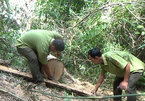 Minister calls for forest protection and management efforts