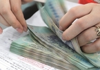 Vietnam's public debt payment at safe levels after pandemic