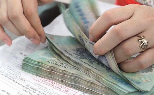 Vietnam's public debt payment at safe levels after pandemic