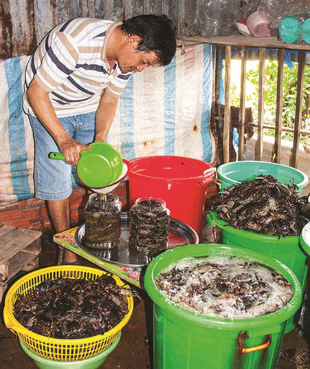 Ca Mau’s traditional sauce recognised as national cultural heritage