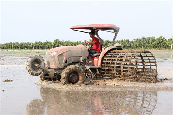 Rice farms in Dong Thap fully mechanised