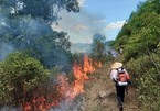 Hàng nghìn người đội nắng chữa cháy rừng ở Nghệ An