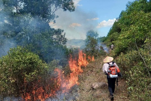 Hàng nghìn người đội nắng chữa cháy rừng ở Nghệ An