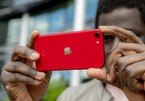 iPhone SE 2020 khiến iFan thất vọng về khả năng chụp ảnh