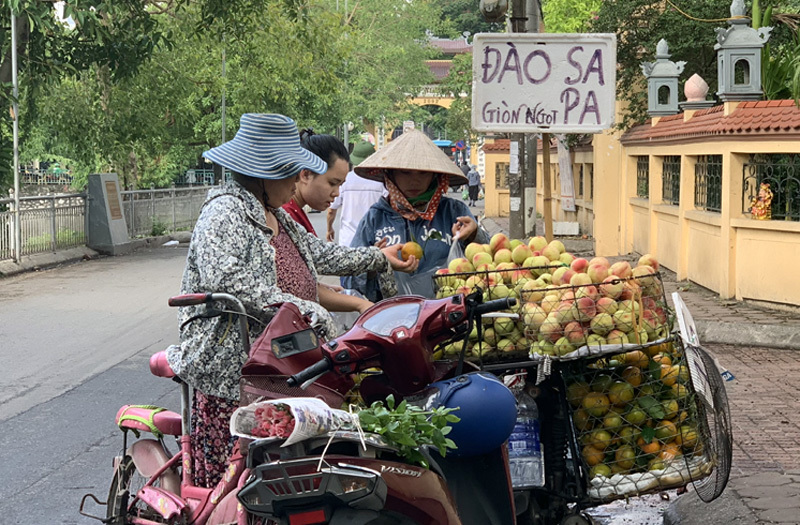 Dân buôn tiết lộ sự thật về đào Sa Pa bán tràn ngập chợ