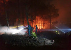 Chủ tịch Nghệ An yêu cầu công an điều tra thủ phạm gây cháy rừng