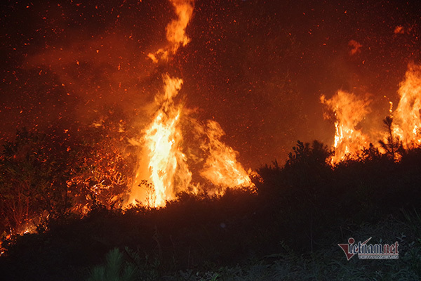 Xuyên đêm dập cháy rừng ở Hà Tĩnh, trưa nay lửa lại bùng phát