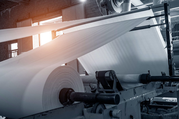 Giấy bao bì cao cấp: cơ hội cho các nhà sản xuất tiềm năng