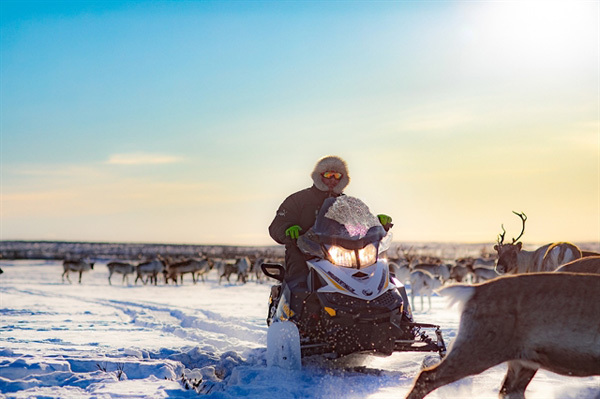 Layover in Arctic Circle