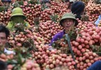 China remains major market for Vietnam’s farm produce