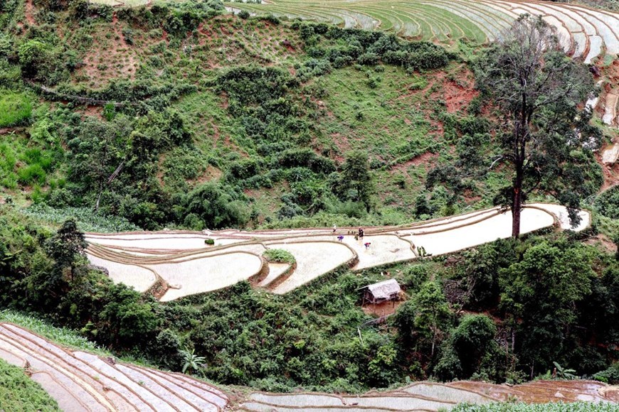 Alluring terraced rice fields in Son La