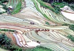 Alluring terraced rice fields in Son La