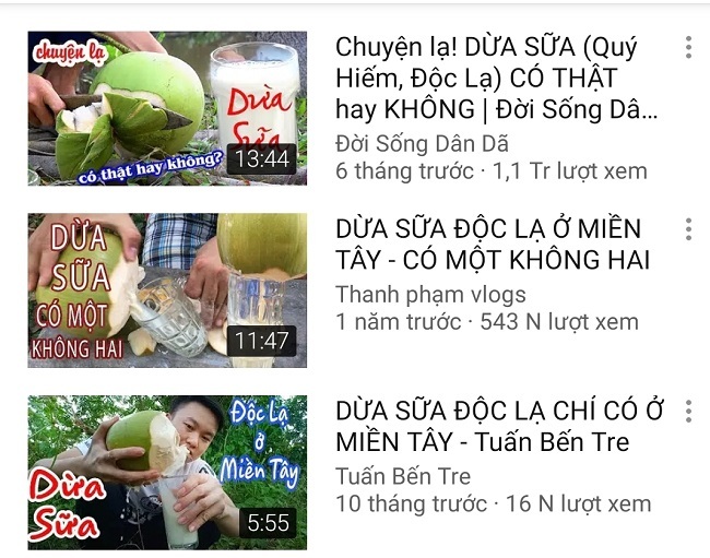 Dừa sữa bán đầy vỉa hè, người bán cây giống tại Bến Tre tiết lộ sự thật