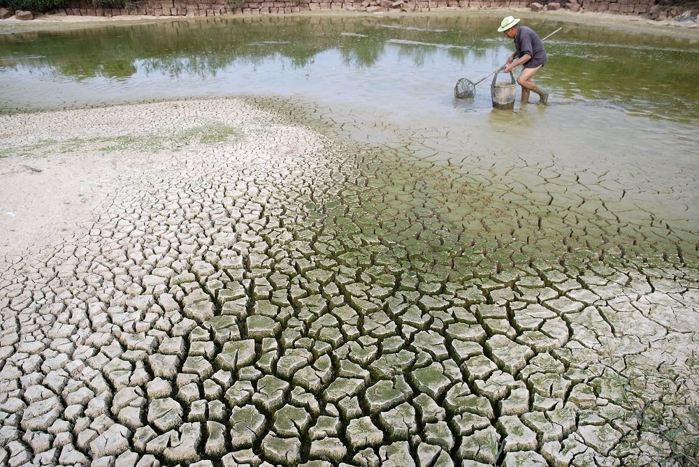 Desertification and Drought Day highlights concerns about loss of land