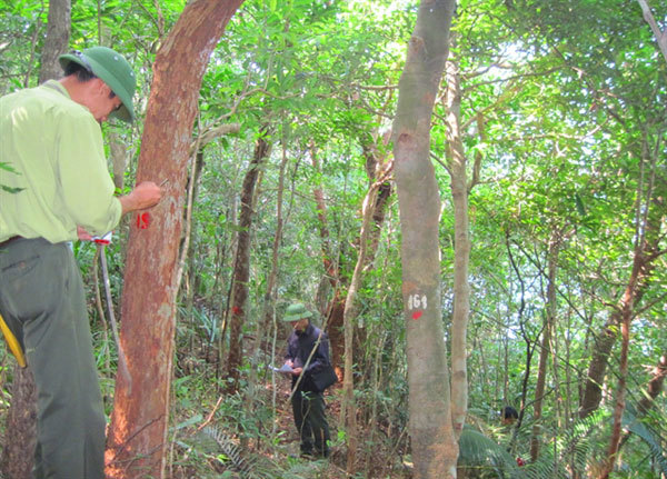 Discovering the wild nature of Ba Mun Island