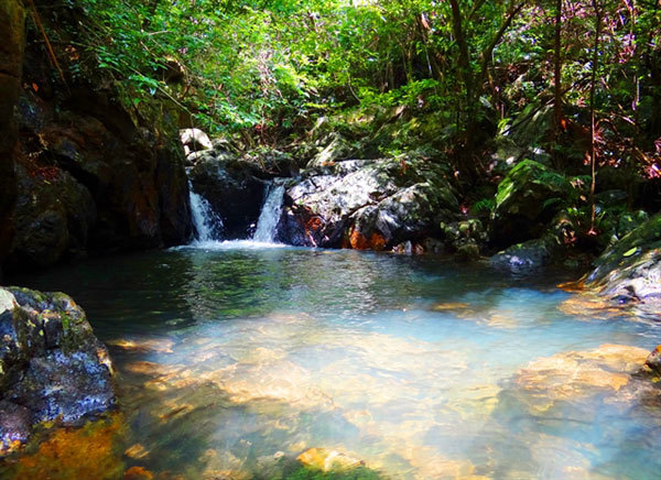 Discovering the wild nature of Ba Mun Island