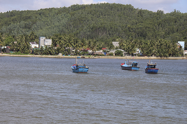 2 chủ tàu cá ở Bình Định bị phạt 1,8 tỷ đồng