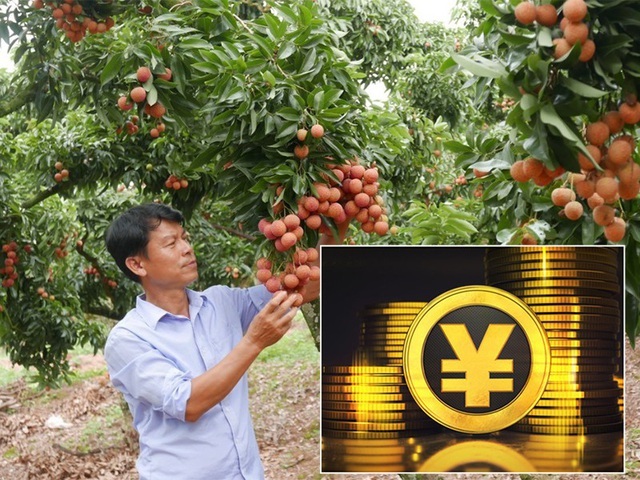 Tiền số Trung Quốc sẽ tác động thế nào đến doanh nghiệp Việt?