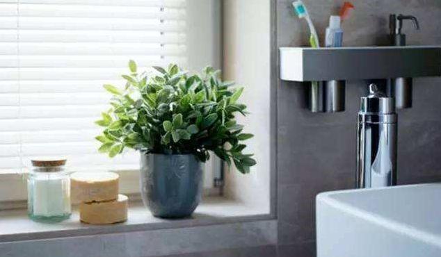 Chồng làm giám đốc, tôi phải vay anh từng đồng để chi tiêu