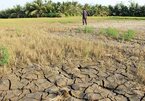 Drought in Mekong Delta worsens due to hydropower, water diversion