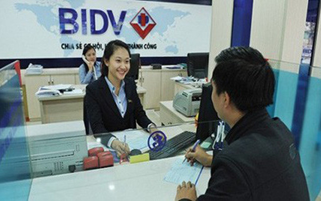 Capital in oversupply, banks slash interest rates