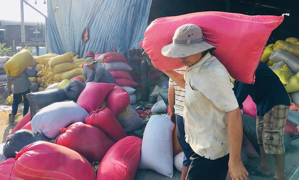 Rice importers try to force prices down, Vietnam needs long-term export plan