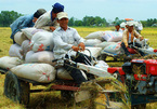 To mechanize Vietnam's agriculture, tractor drivers also need to be trained