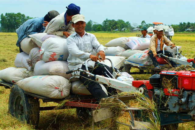 To mechanize Vietnam's agriculture, tractor drivers also need to be trained