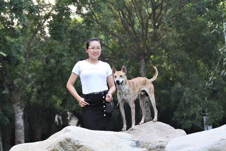 'Khuyển vương' 300 triệu, thương vụ chó Phú Quốc đắt nhất Việt Nam