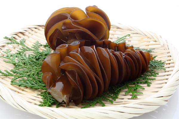 Tảo Mozuku, Mekabu: Nhiều lợi ích cho người bệnh ung thư