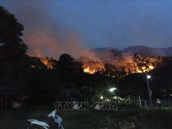 Forest fires a burning problem during dry season in Vietnam