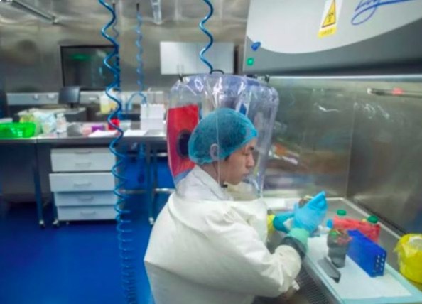 Bên trong phòng thí nghiệm bị nghi tạo ra virus corona