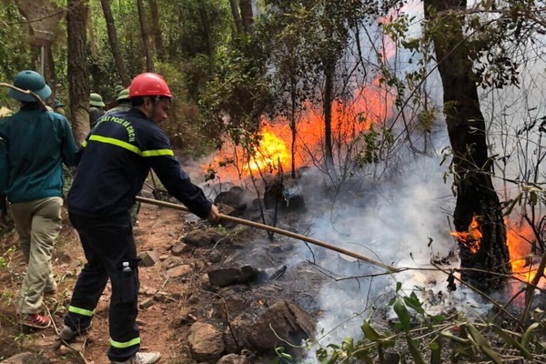 Hàng trăm người căng mình chữa cháy rừng ở Nghệ An