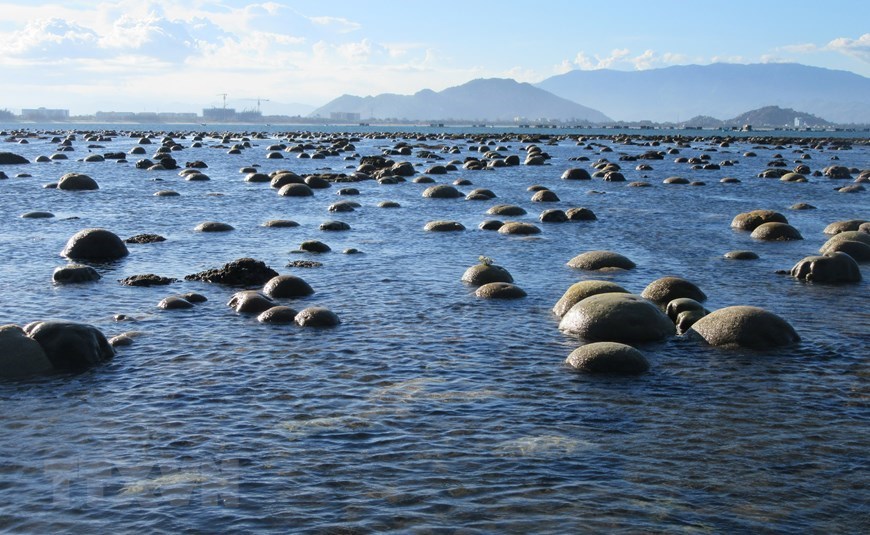 Beauty of coral reefs in Ninh Thuan