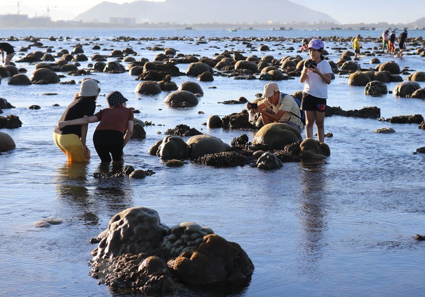 Beauty of coral reefs in Ninh Thuan