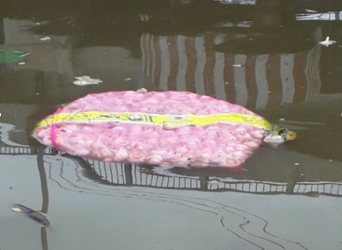 Tấn tỏi gắn mác Trung Quốc trôi trên sông, khuyến cáo không được ăn