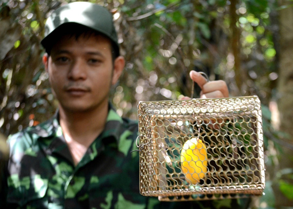 Six-man squad protects animals in Son Tra Peninsula