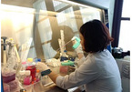 Vietnamese scientists make potential cancer breakthrough