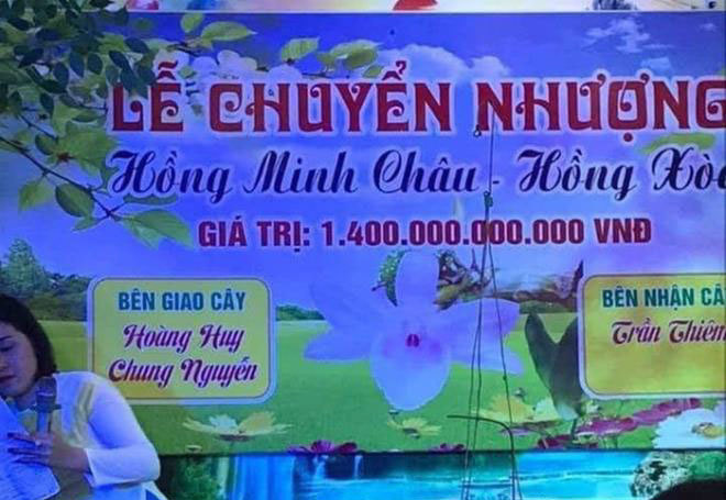 Náo loạn giao dịch hoa lan vài chục tỷ đồng, giàu nhanh hơn buôn đất