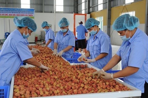 State needs to help cut logistics cost for Vietnamese farm produce