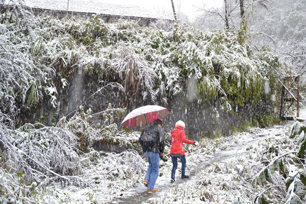 Năm nay miền Bắc sẽ đón rét sớm