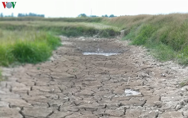 Nghe An Province suffers severe drought