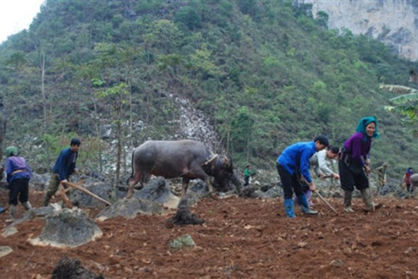 “Tích tiểu thành đại”, dân Lục Khu có tiền làm nhà, mua xe