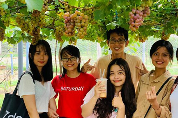 Vườn nho siêu trái ở miền Tây mở cửa miễn phí, giới trẻ thích thú đến check-in