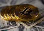 Nhân loại đã đổ bao nhiêu tiền vào Bitcoin?