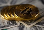 Chủ tịch FED Boston: 'Cơn sốt Bitcoin sẽ không kéo dài lâu'